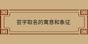 芸 名字 意思|芸字起名寓意、芸字五行和姓名学含义